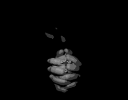 Contrition